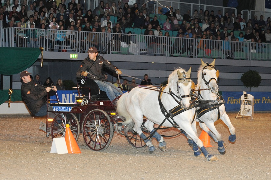 馬展，德國(guó)馬展，馬匹比賽