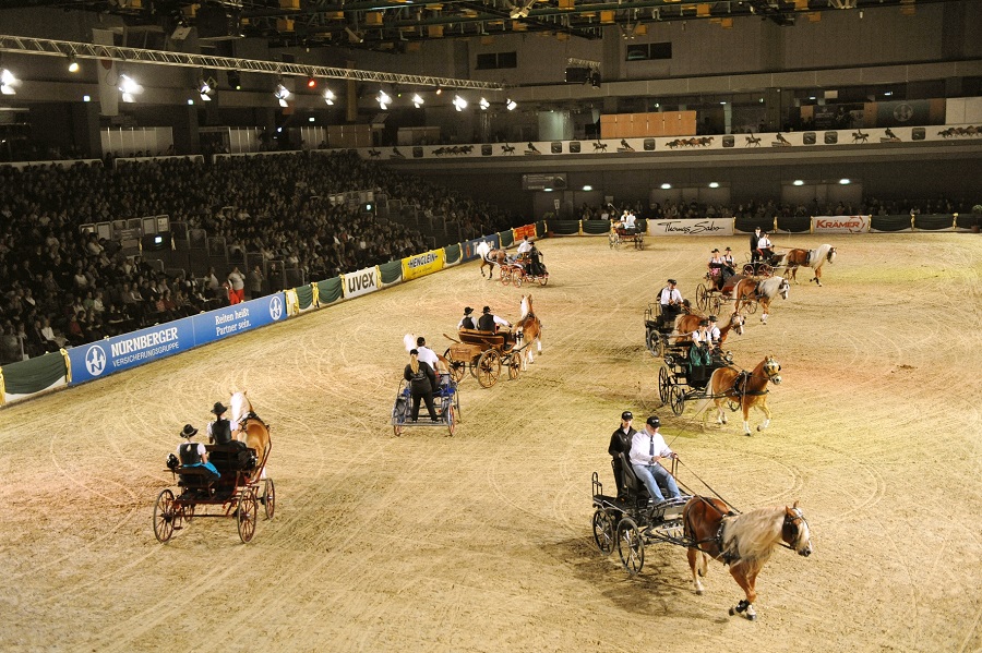 馬展，德國(guó)馬展，馬匹比賽