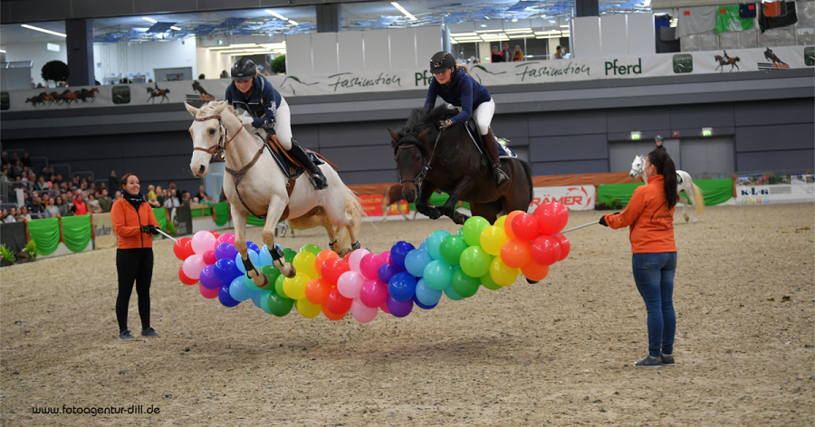 馬展，德國(guó)馬展，馬匹比賽